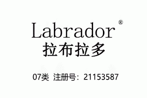 Labrador