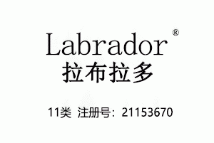 Labrador